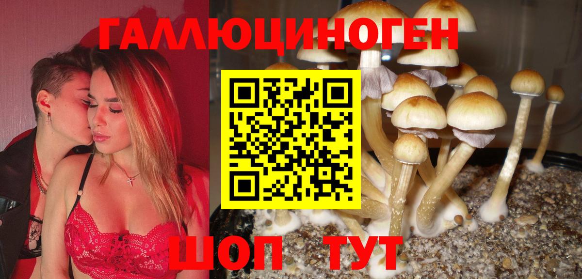 Галлюциногенные грибы мухоморы Заинск