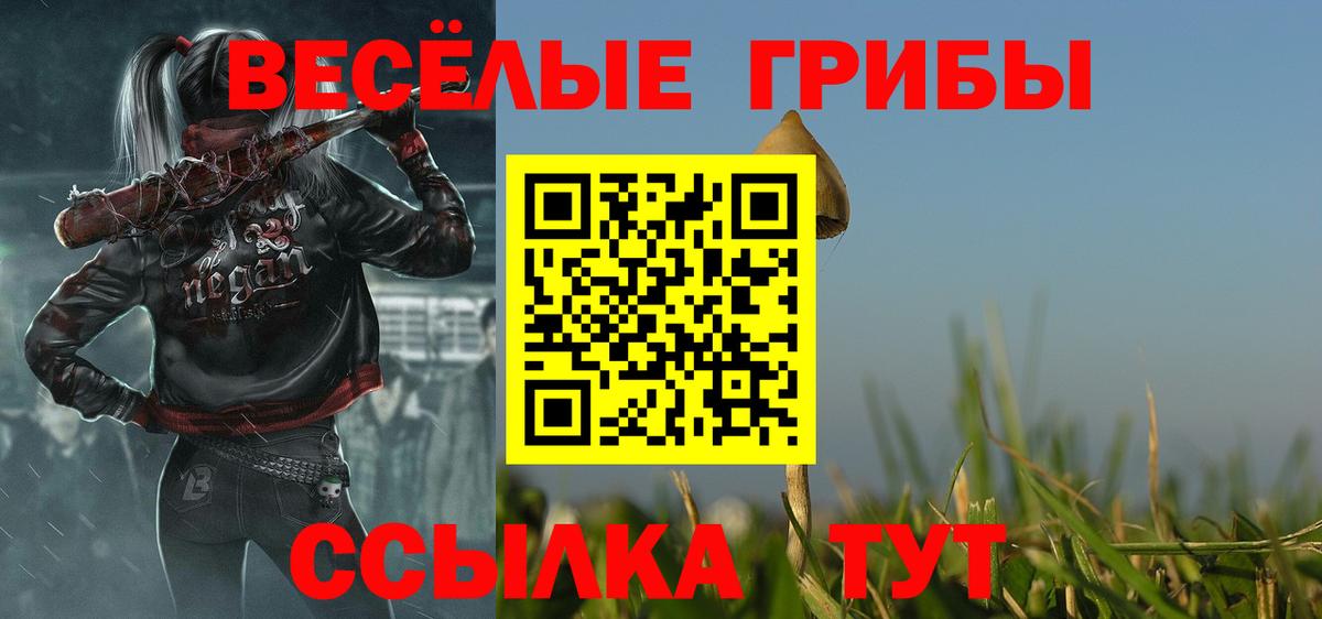 Галлюциногенные грибы прущие грибы  Галлюциногенные грибы мухоморы  Заинск  Вход с VPN 